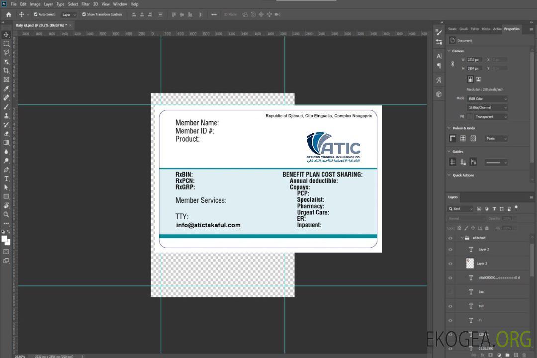 Carte d'assurance maladie de Djibouti template